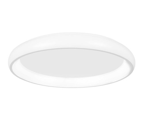 Nova Luce Albi LED mennyezeti lámpa NL-8105606D