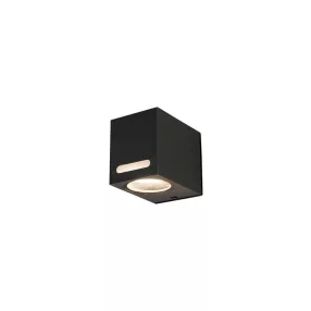   Nowodvorski Assos kültéri fali lámpa GU10-MR16 1X10W TL-9123