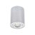 Kanlux mennyezeti lámpa BORD DLP-50-AL 22550 Spot