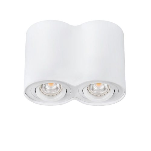 Kanlux mennyezeti lámpa BORD DLP-250-W Diszkrét modern falon kívüli Spot 22554 - !!!A termék értékesítése megszűnt!!!