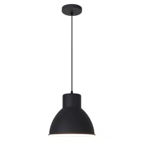 Rábalux Derek Függeszték, E27 1x MAX 60W, 2578