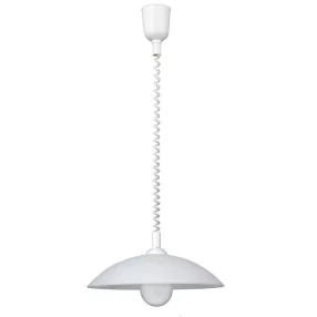 Rábalux Round Függeszték, E27 1x MAX 60W, 4780