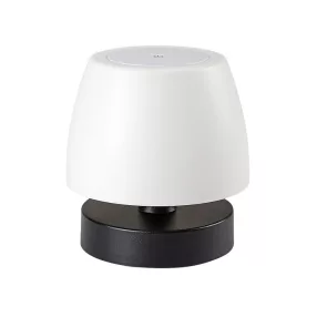 Rábalux Odera Kültéri Asztali lámpa LED 3W, 7040