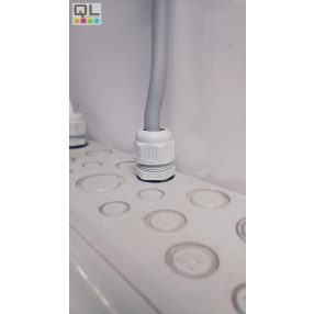 Tömszelence, Tömítő szelence MG16-0973