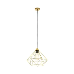 EGLO TARBES függeszték 1X60W E27 43679