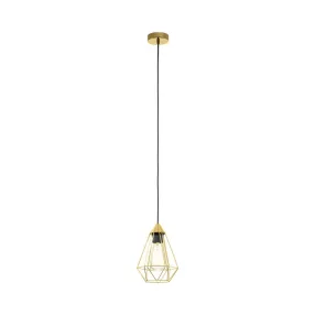 EGLO TARBES függeszték 1X60W E27 43681