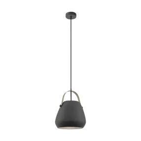   EGLO BEDNALL függeszték 1X60W E27 98349  !!! UTOLSÓ DARABOK !!!