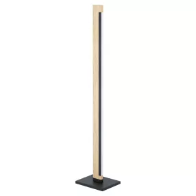 EGLO CAMACHO állólámpa 22W LED 99296