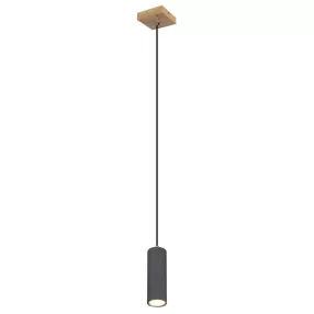 Globo ROBBY Függeszték, GU10 1x35W, 57911HG