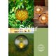 Globo solar katalógus 2022